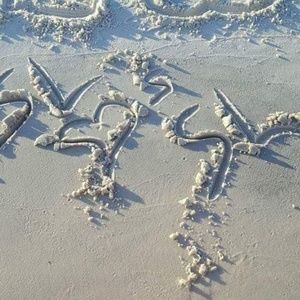 Meet your Posher, Shawna